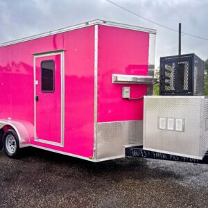 2026 Custom Dog Grooming Trailer 1 2